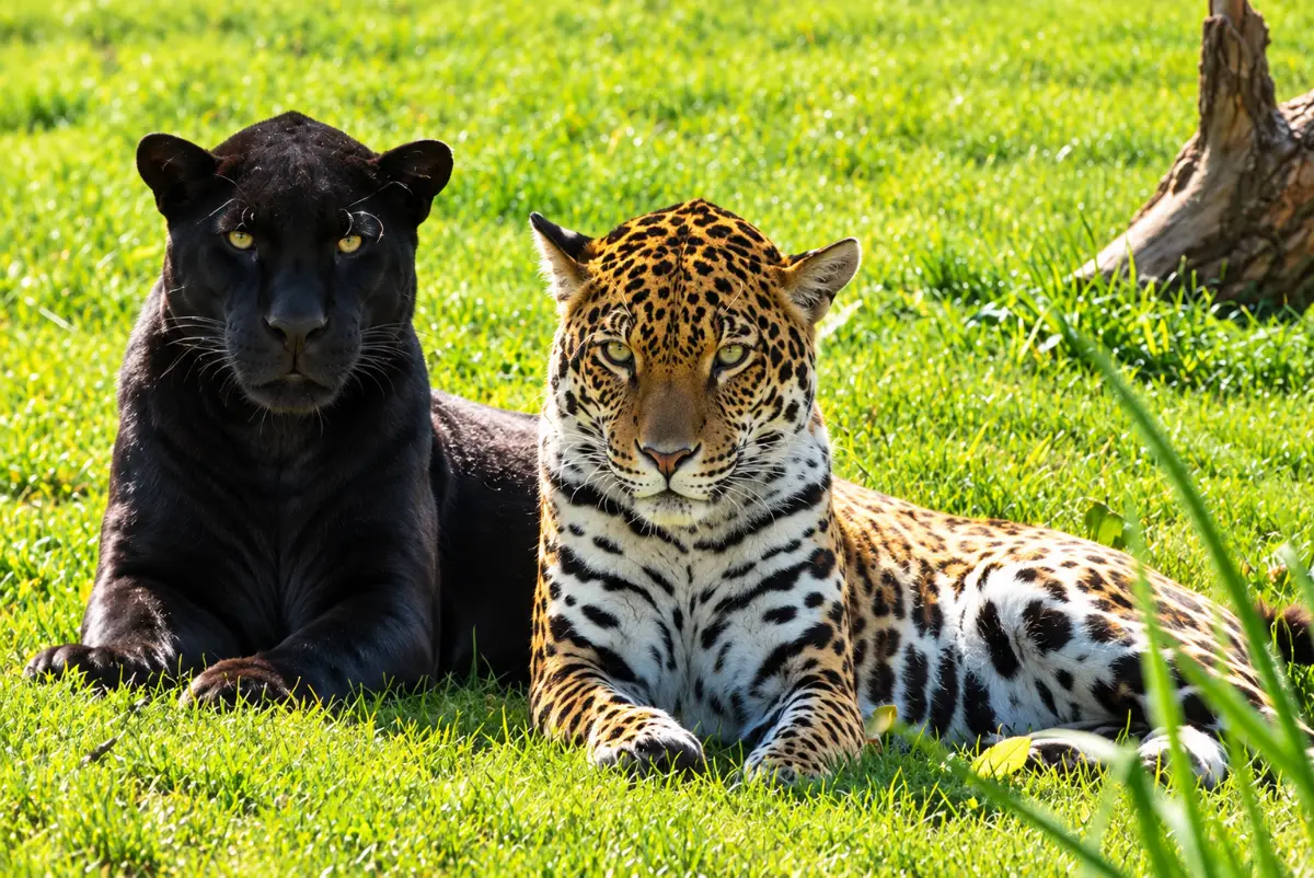 Zoo Zlín Lešná